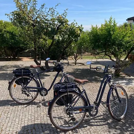 Portoo Blue - Douro Διαμέρισμα *